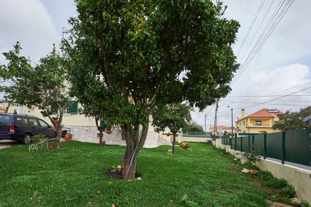 Sun House - Near Sintra - Kitchen - Pool Apartment Екстериор снимка